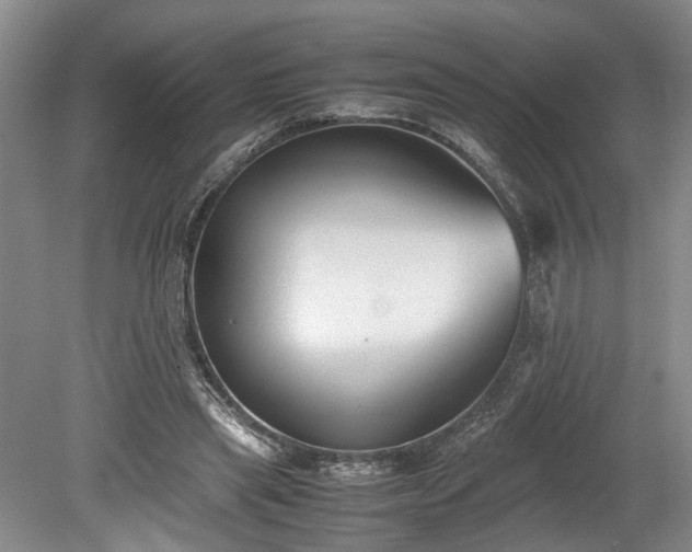 X0000078880445200611201415