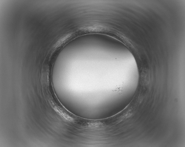 X0000078880446200611201415