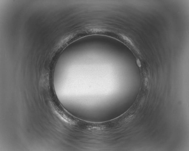 X0000078880447200611201415