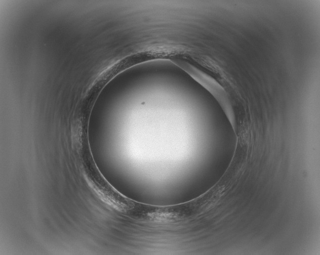 X0000078880448200611201415