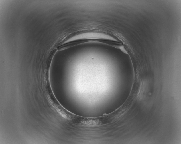 X0000078880449200611201415