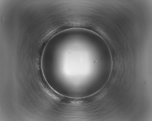 X0000078880450200611201415