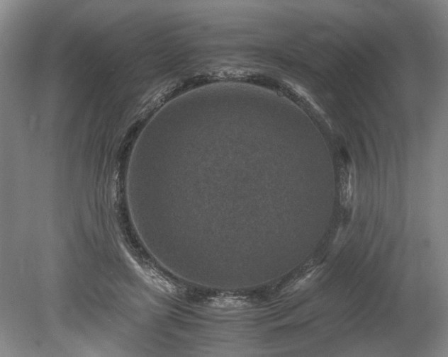 X0000078880451200611201415