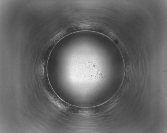 X0000078880454200611201415