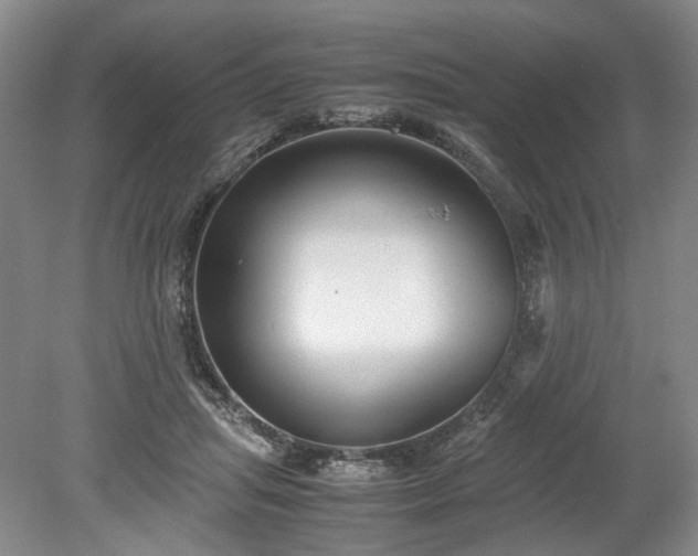 X0000078880455200611201415
