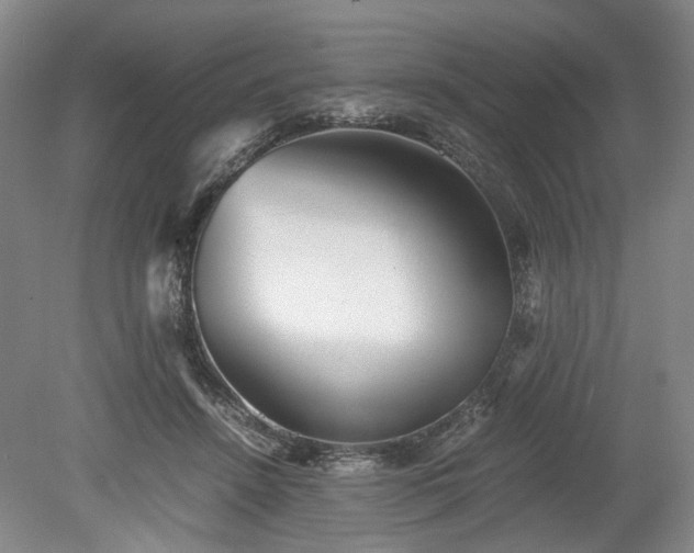 X0000078880456200611201415
