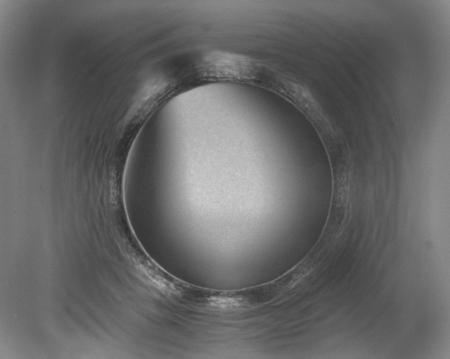 X0000078880457200611201415