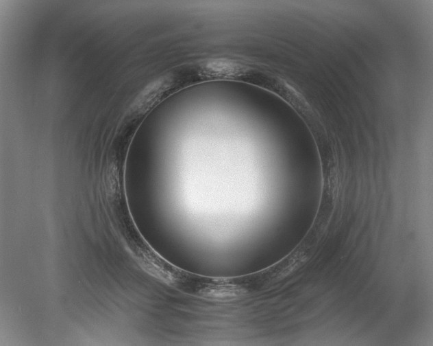 X0000078880459200611201415