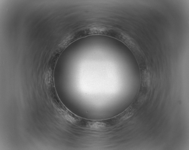 X0000078880463200611201415