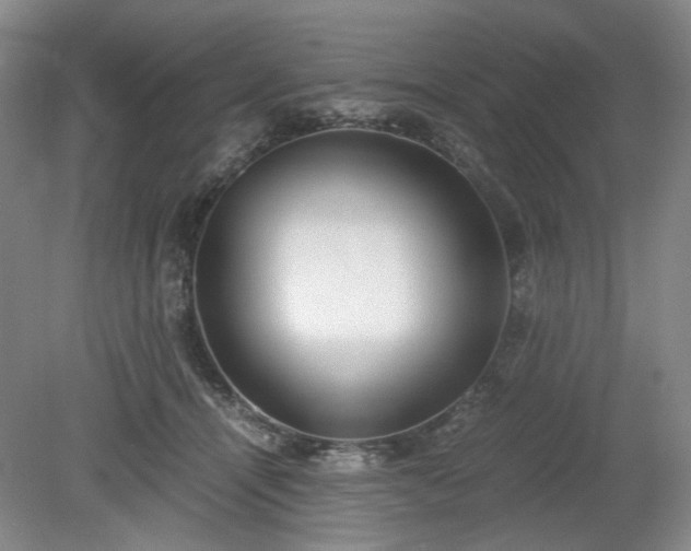 X0000078880464200611201415