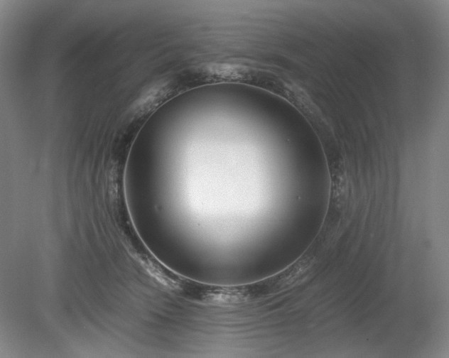X0000078880466200611201415