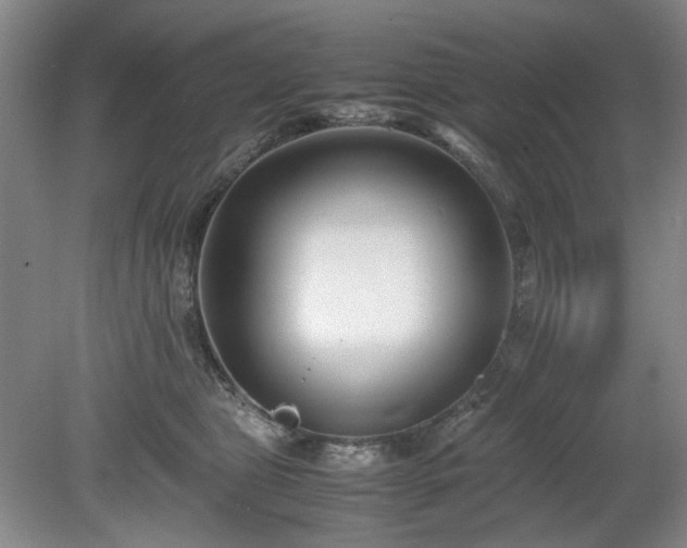 X0000078880469200611201415