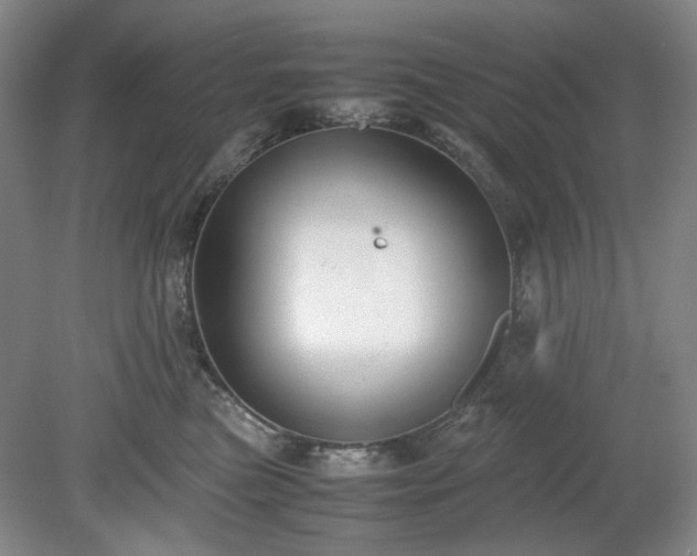X0000078880473200611201415