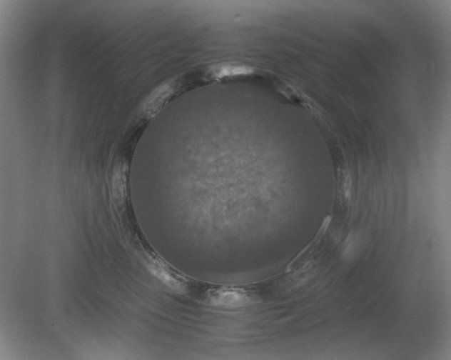 X0000078880475200611201415
