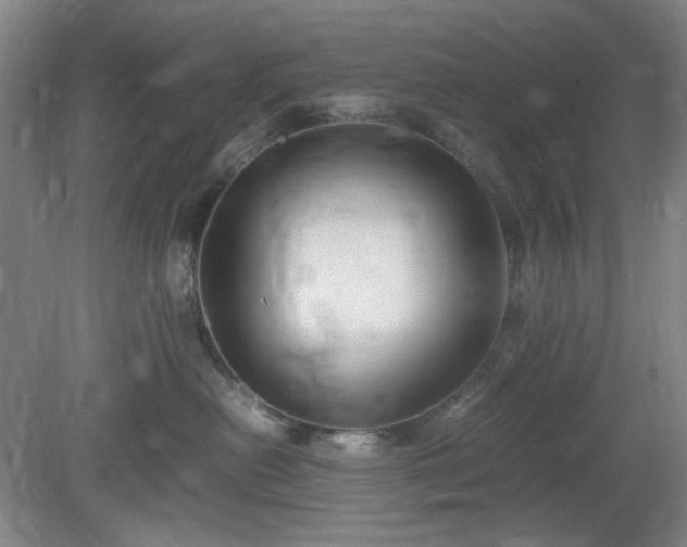 X0000078880478200611201415