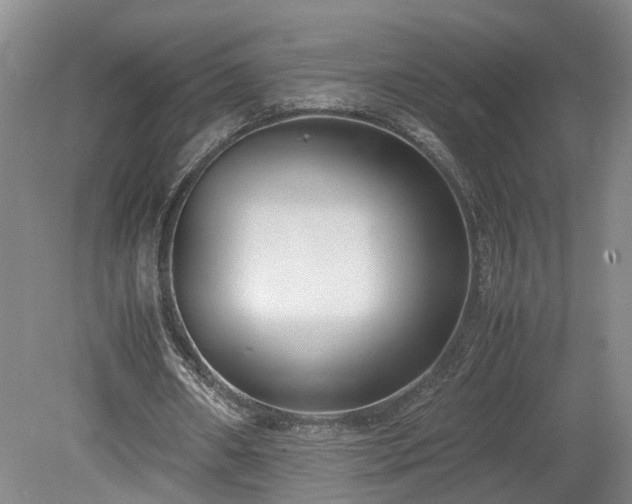 X0000078880482200611201414