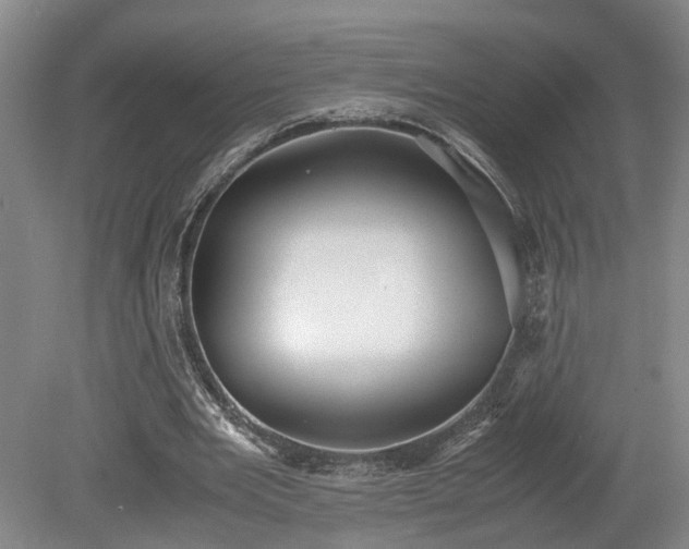 X0000078880485200611201414