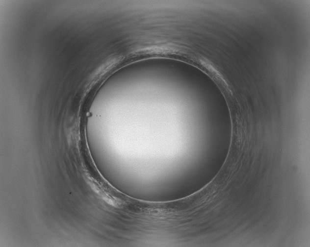 X0000078880486200611201414