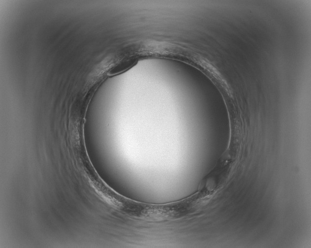 X0000078880489200611201414