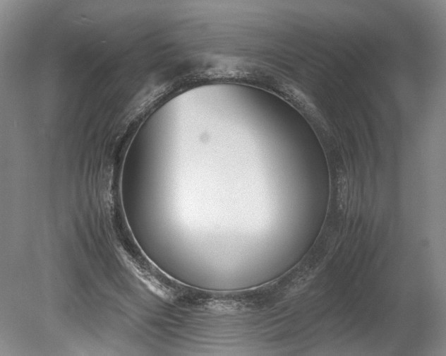 X0000078880490200611201414