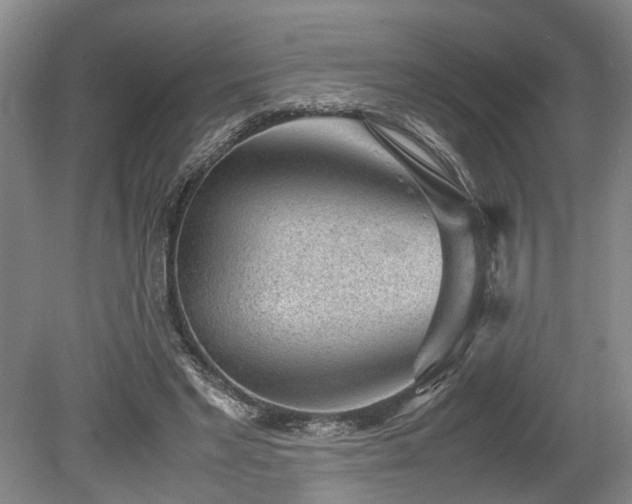X0000078880493200611201414