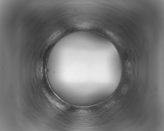 X0000078880494200611201414
