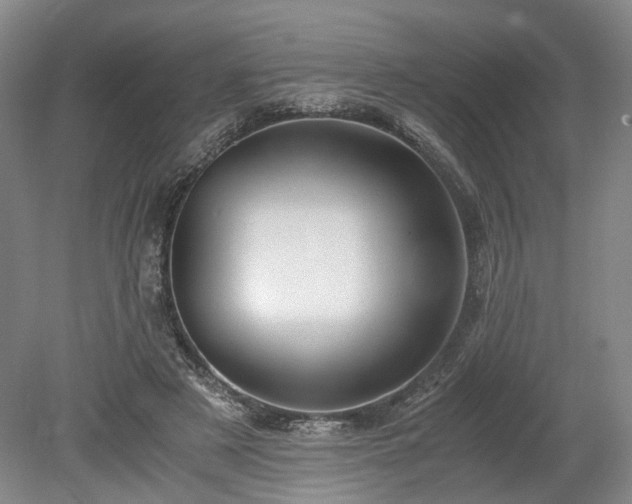 X0000078880497200611201414