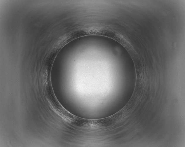 X0000078880498200611201414