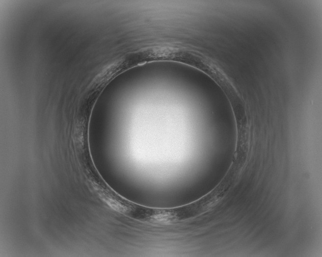 X0000078880505200611201414