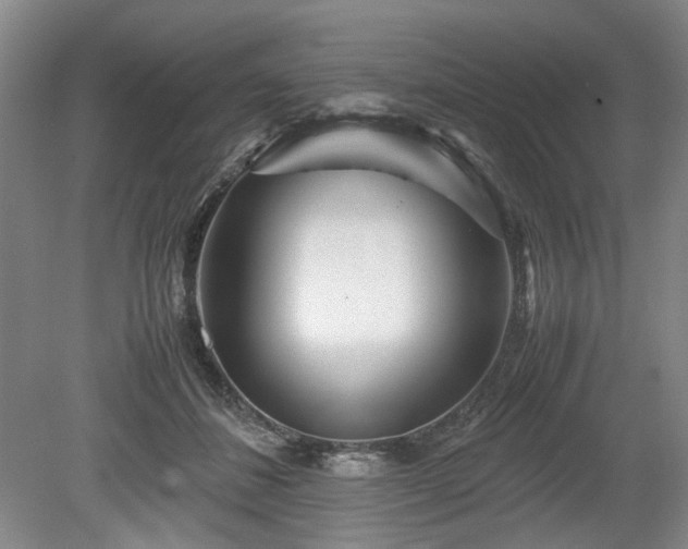 X0000078880508200611201414