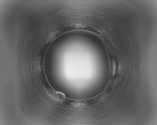 X0000078880512200611201414