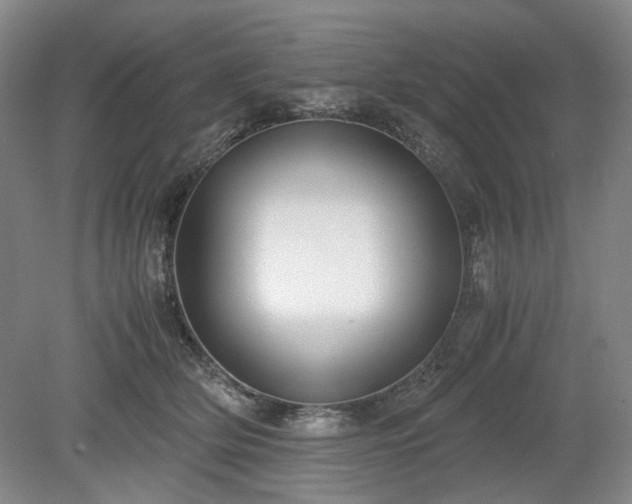 X0000078880514200611201414
