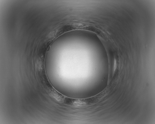 X0000078880515200611201414