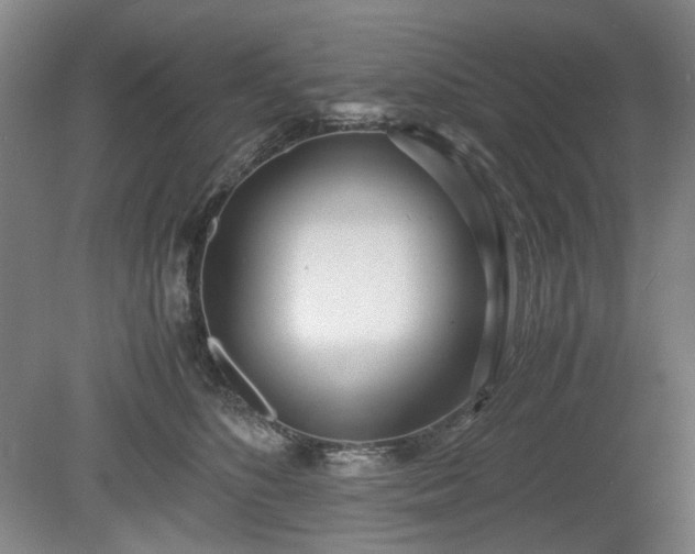 X0000078880516200611201414