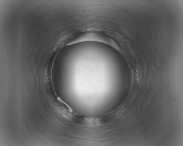 X0000078880520200611201414