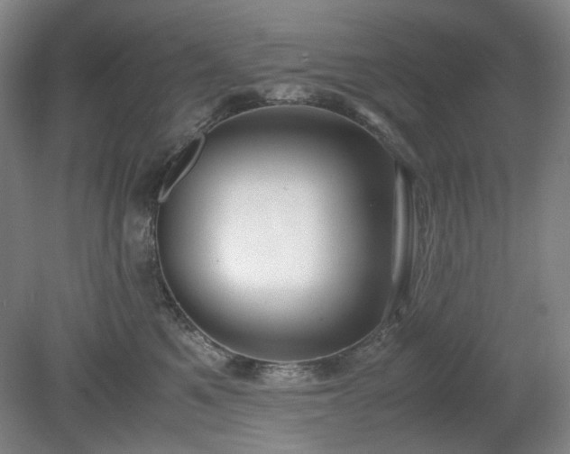 X0000078880521200611201414
