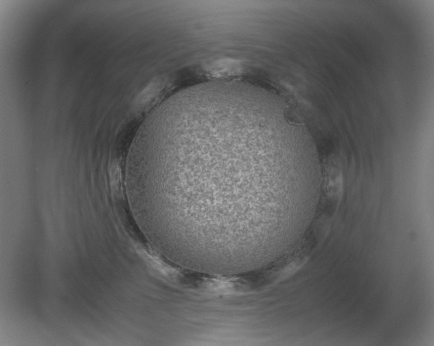 X0000078880523200611201414