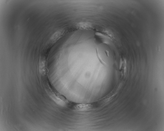 X0000078880526200611201414