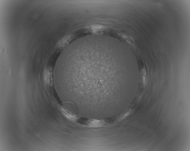 X0000078880527200611201414
