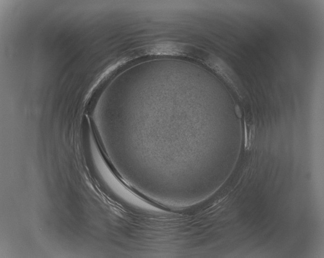 X0000078880531200611201413