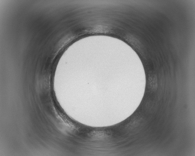 X0000078880534200611201413