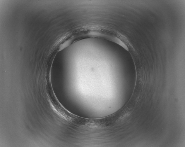 X0000078880538200611201413