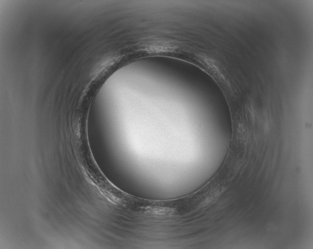X0000078880539200611201413
