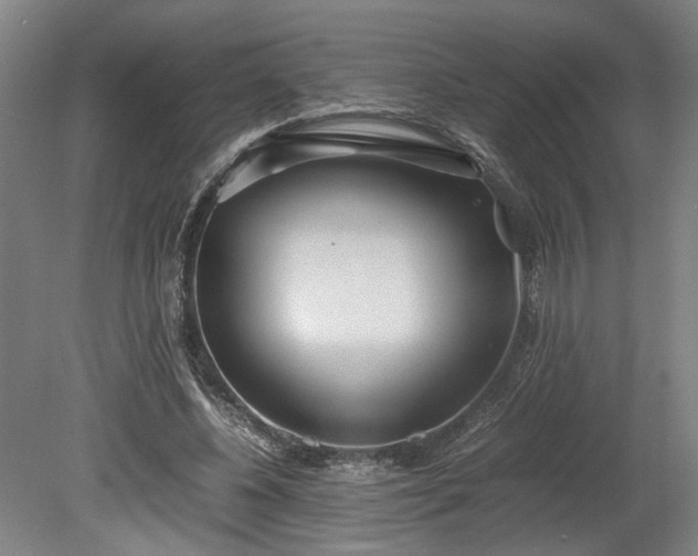 X0000078880540200611201413