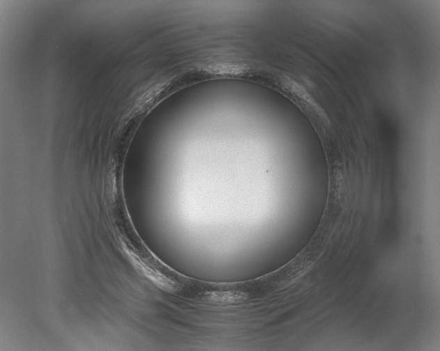 X0000078880541200611201413