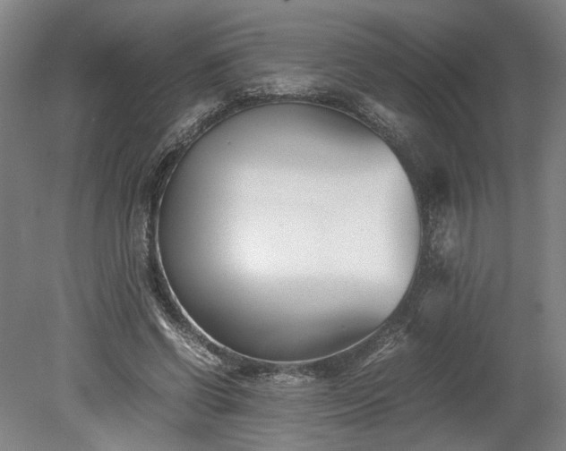 X0000078880542200611201413