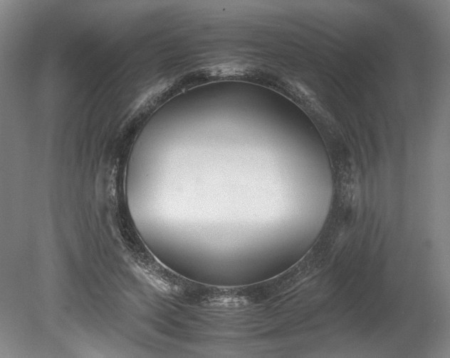 X0000078880543200611201413