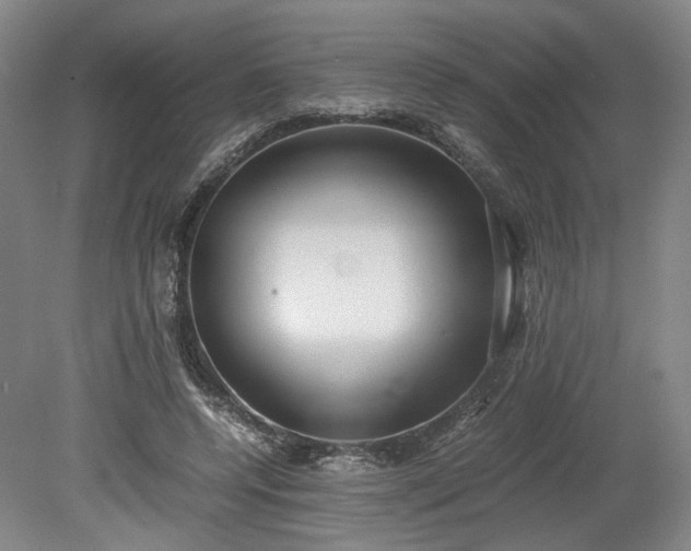 X0000078880544200611201413