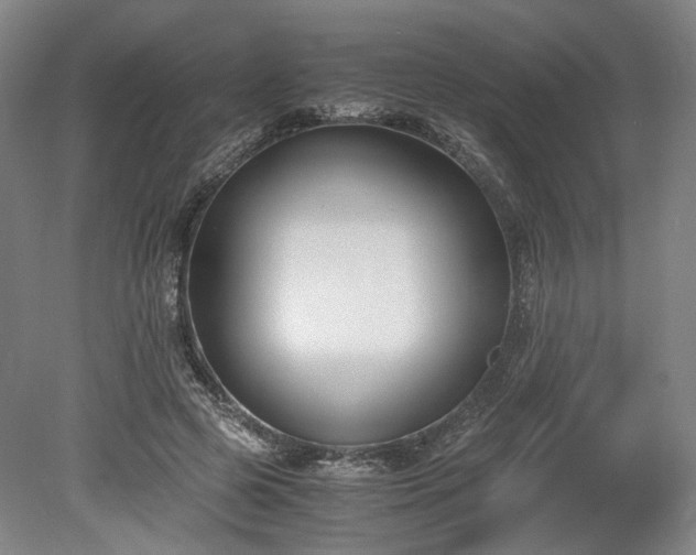 X0000078880545200611201413