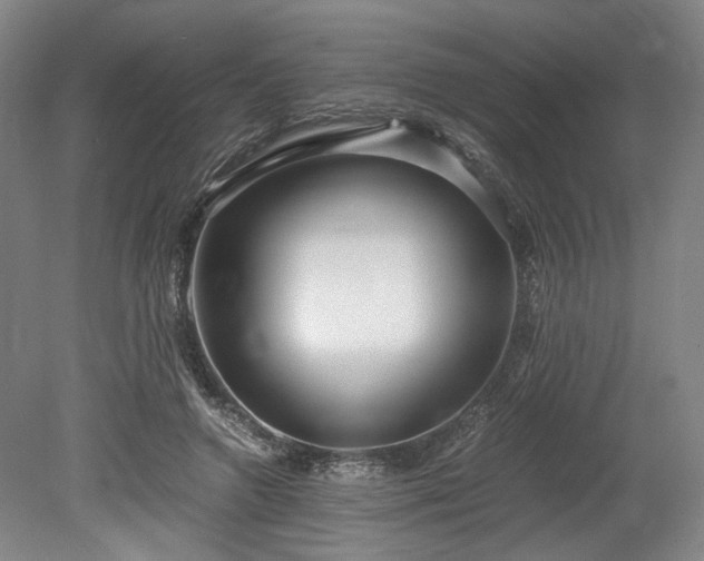 X0000078880546200611201413